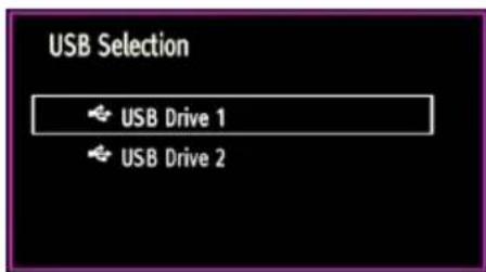 MANHATTAN MT42906FHD12 - Media Playback Using Media Browser - 2