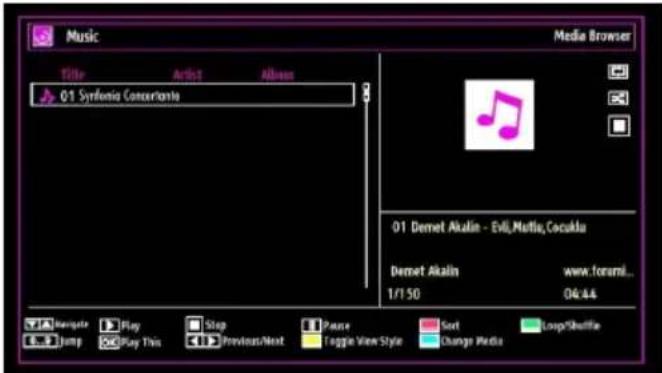 MANHATTAN MT42906FHD12 - Playing Music via USB - 1