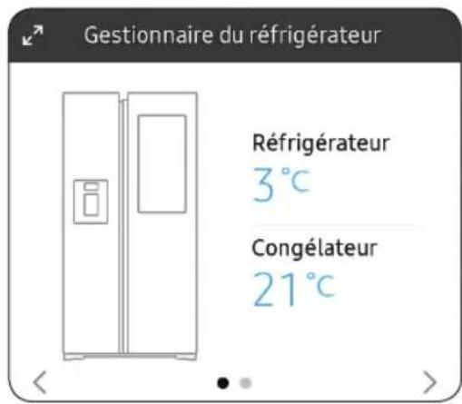 SAMSUNG RS22T5561SG - Gestionnaire du réfrigérateur - 1