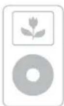 SONY CPFIP001 - Compatible iPod models - 4