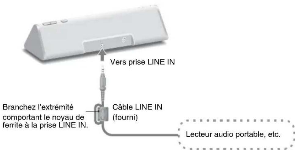 SONY CPFIP001 - Remarques - 2