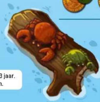 Huch! & Friends Kokonana - VARIANT VOOR JONGE KINDEREN - 4