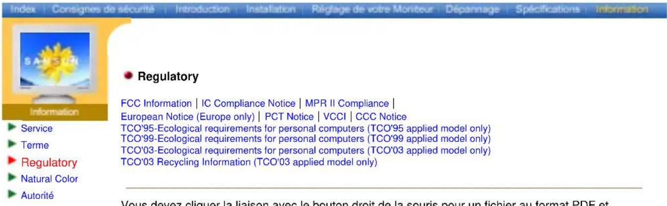 SAMSUNG SyncMaster 997DF - Résolution - 1