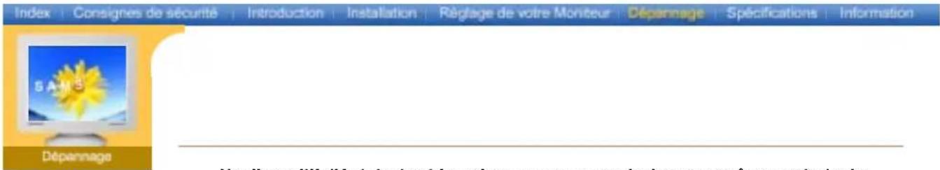 SAMSUNG SyncMaster 997DF - Jugez les conditions de travail du moniteur - 1