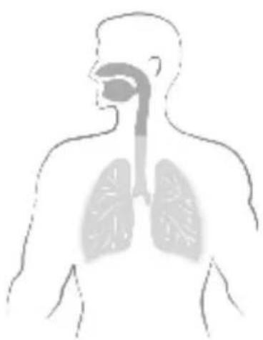 MEDISANA IN 500 Compact - GGB Inhalator IN 500 Compact / IN 550 Pro - 2