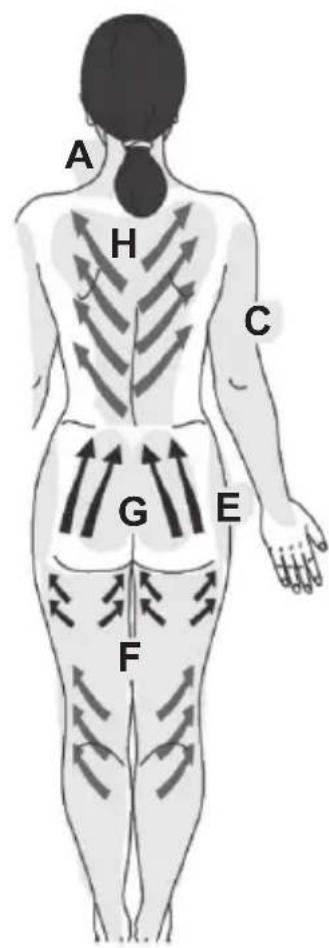 Medicura M240N - Instructions d'utilisation - 4