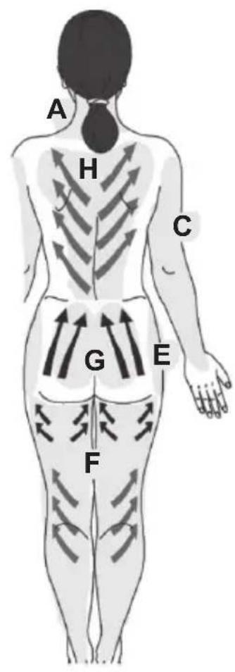 Medicura M240N - Gebrauchsanweisung - 4