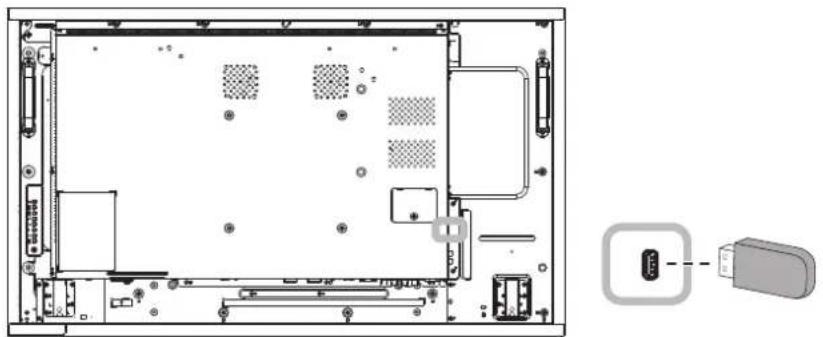 AG Neovo RX55E - 3.7從USB裝置播放多媒體檔案 - 2