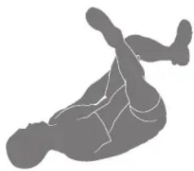 BOWFLEX Max Trainer M8i - Figure en forme de quatre en position couchée - 1