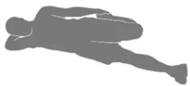 BOWFLEX Max Trainer M6i - Flexion latérale du genou en position couchée - 1