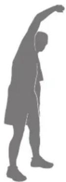 BOWFLEX Max Trainer M6i - Étirement dynamique latéral - 1