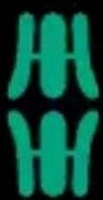 Wera Joker Switch 19 - Emploi de matériaux haut de gamme : - 8