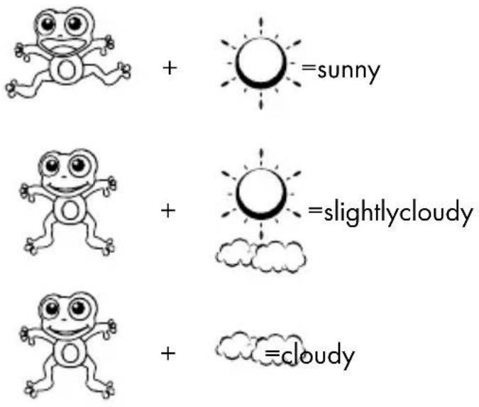 AURIOL IAN 296289 - Preparing to use the weather forecasting function - 1