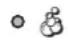 INDESIT IWC 8125 B - Wash cycle phase indicator lights - 1