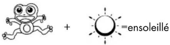 AURIOL IAN 96414 - - Mise en service de la prévision météorologique - 1