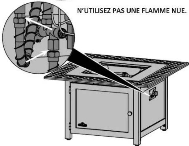 Napoleon VICT2BZ - Test De Détction De Fuites - 6