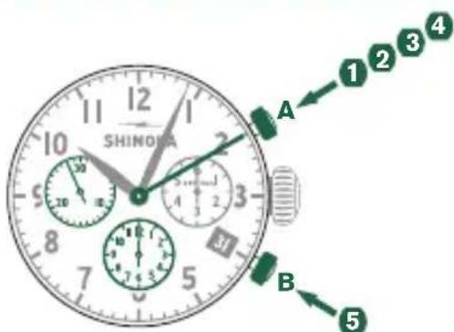 Shinola The Birdy - MESURE Du temps accumule - 1