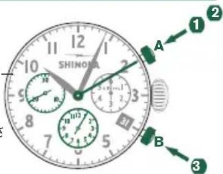Shinola The Birdy - 口不格拉夫針をご口に調整 - 2