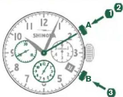 Shinola The Birdy - Ejempio - 1