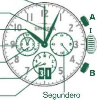 Shinola The Birdy - siguiente: - 1