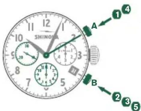 Shinola The Birdy - Ejempio - 1