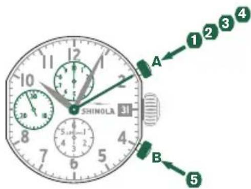 Shinola The Birdy - 累计计时 - 1