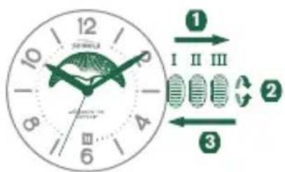 Shinola The Birdy - AJUSTE DE LA HORA - 1