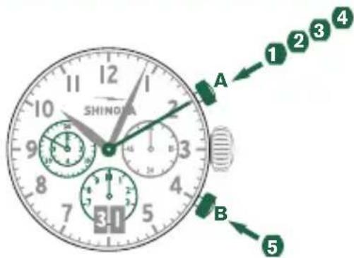 Shinola The Birdy - 例 - 1