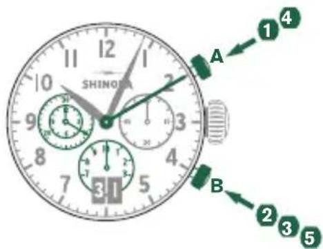 Shinola The Birdy - Ejempio - 1