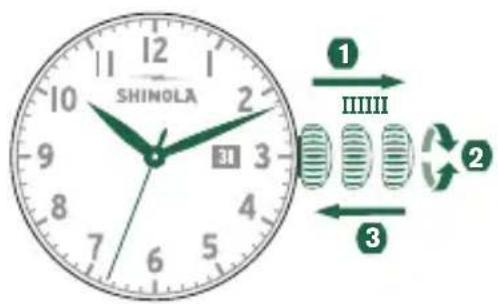 Shinola The Birdy - 设定时间 - 1