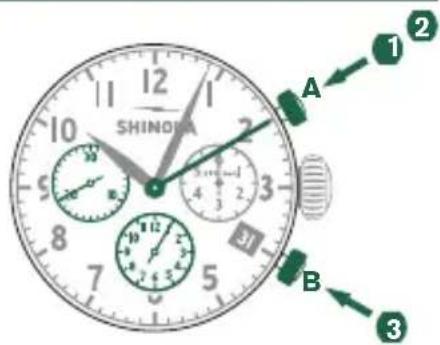 Shinola The Birdy - 基本功能（开始/停止/重置） - 1
