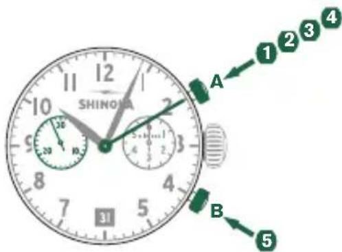 Shinola The Birdy - 累计计时 - 1
