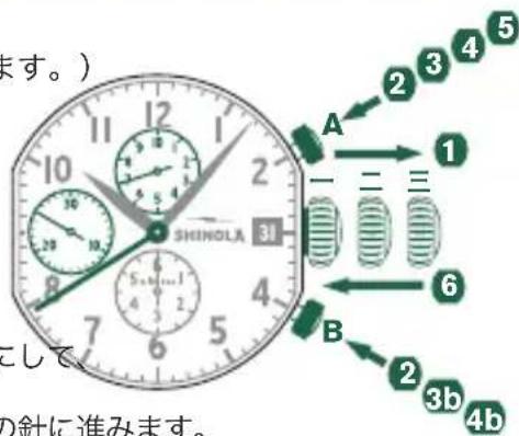 Shinola The Birdy - 口不格拉夫針をご口に調整 - 1