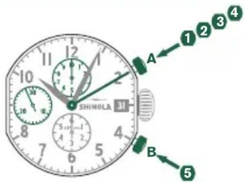 Shinola The Birdy - Example - 1