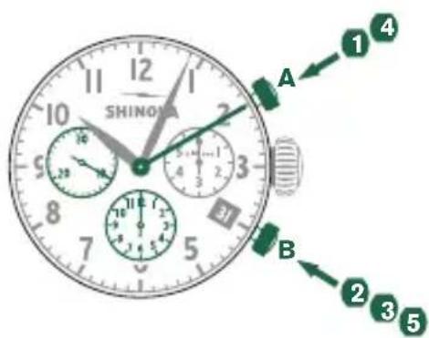 Shinola The Birdy - 例 - 1