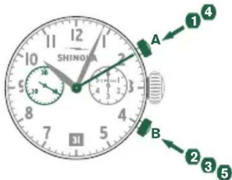 Shinola The Birdy - Example - 1