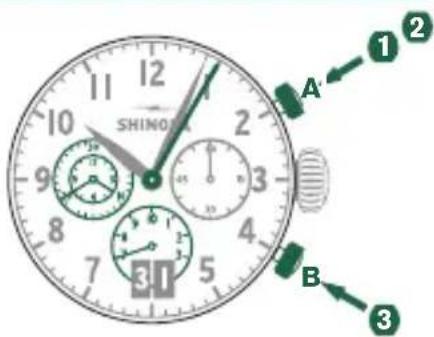 Shinola The Birdy - Fonctions de BASE (démarrer / arrêter / réinitialiser) - 1