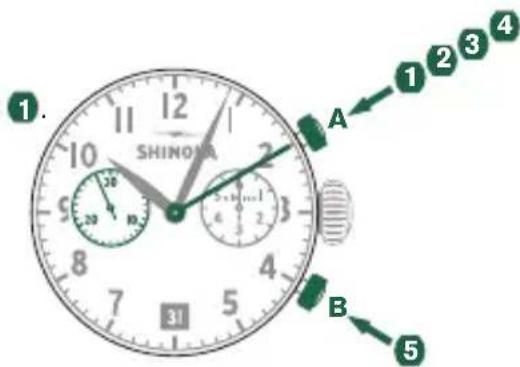 Shinola The Birdy - Ejempio - 1