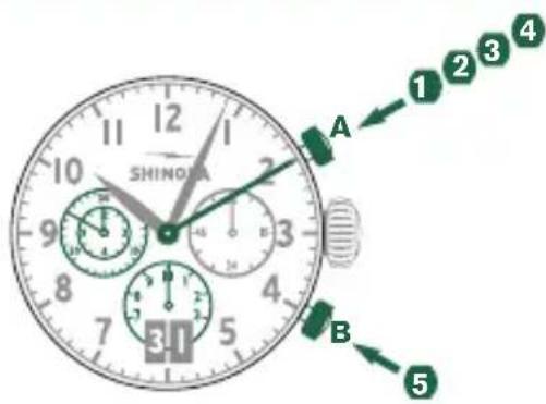 Shinola The Birdy - MESURE Du temps accumule - 1
