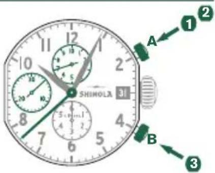 Shinola The Birdy - Beispiel - 1