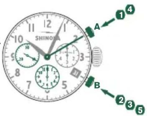 Shinola The Birdy - Beispiel - 1