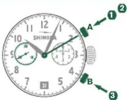 Shinola The Birdy - Fonctions de BASE (démarrer / arrêter / réinitialiser) - 1