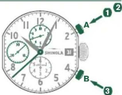Shinola The Birdy - Fonctions de BASE (démarrer / arrêter / réinitialiser) - 1