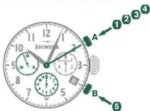 Shinola The Birdy - Ejemplo - 1