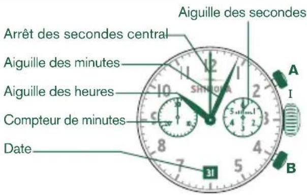 Shinola The Birdy - Régler la DATE - 1