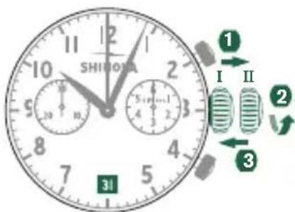 Shinola The Birdy - SETTING THE DATE - 1