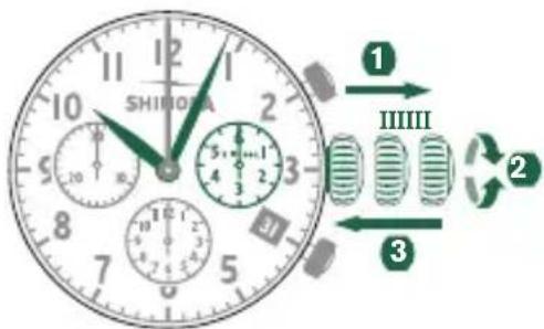 Shinola The Birdy - SETTING THE DATE - 1