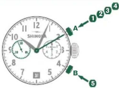 Shinola The Birdy - 例 - 1