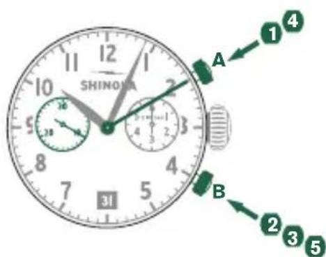 Shinola The Birdy - 例 - 2