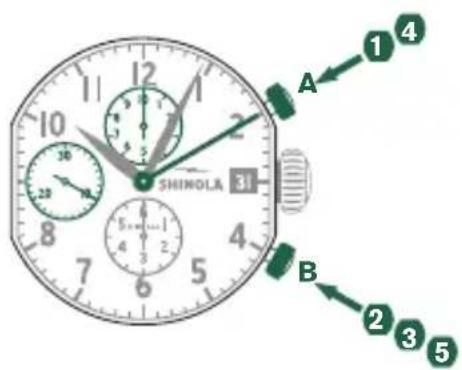 Shinola The Birdy - Please note: - 1